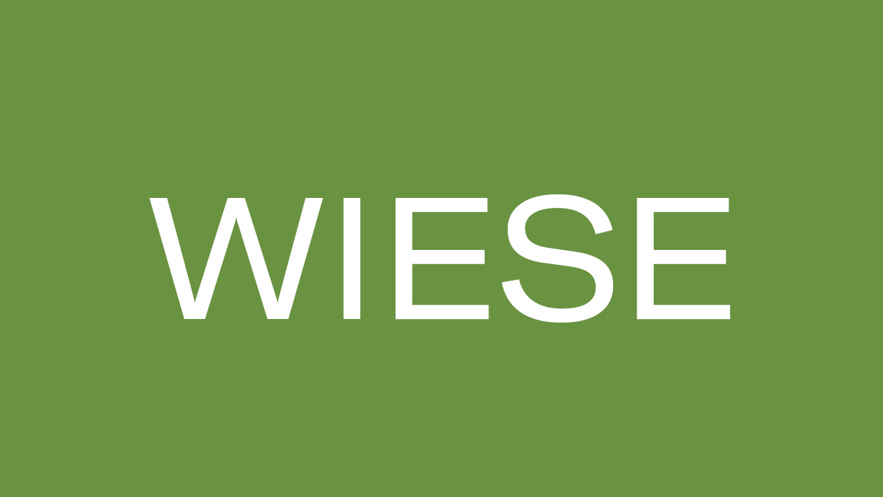 Wiese Open-Air-Programm 2025/26