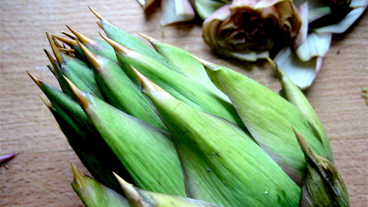 Food Plant von davide vizzini. Wikimedia Commons, CC-BY-SA