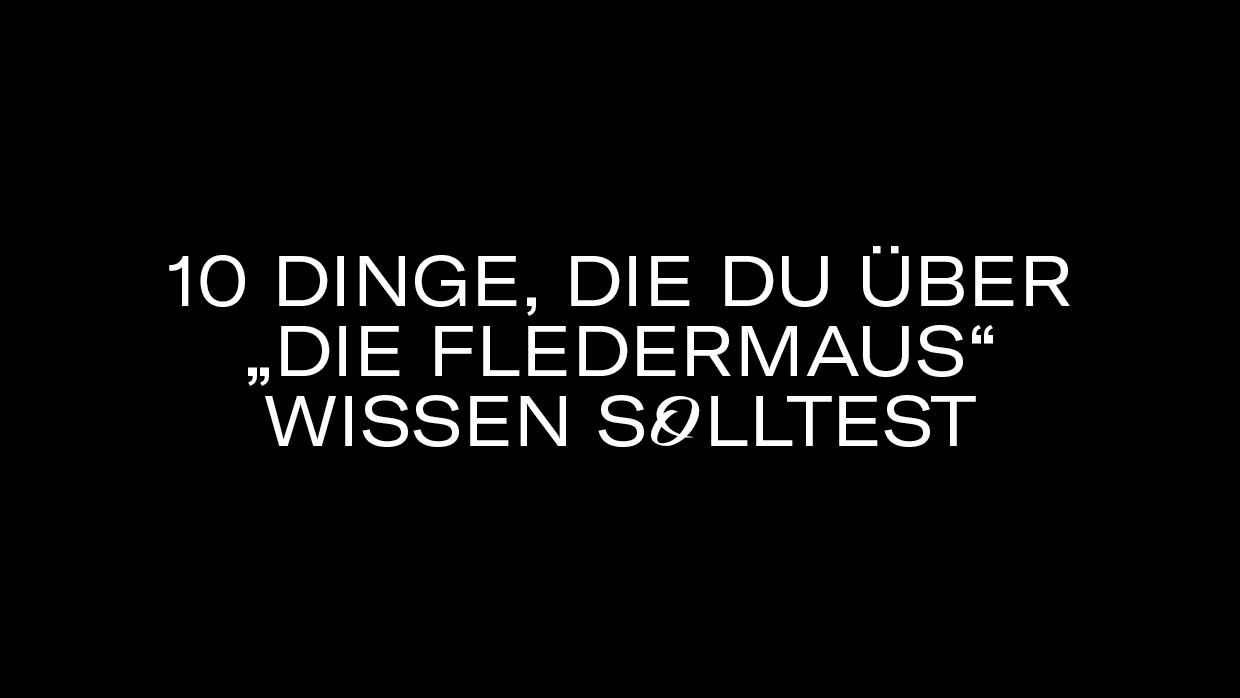 10 Dinge Fledermaus3