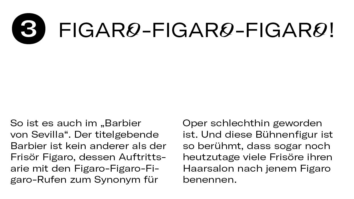 10 Dinge EinFallfuerFigaro6