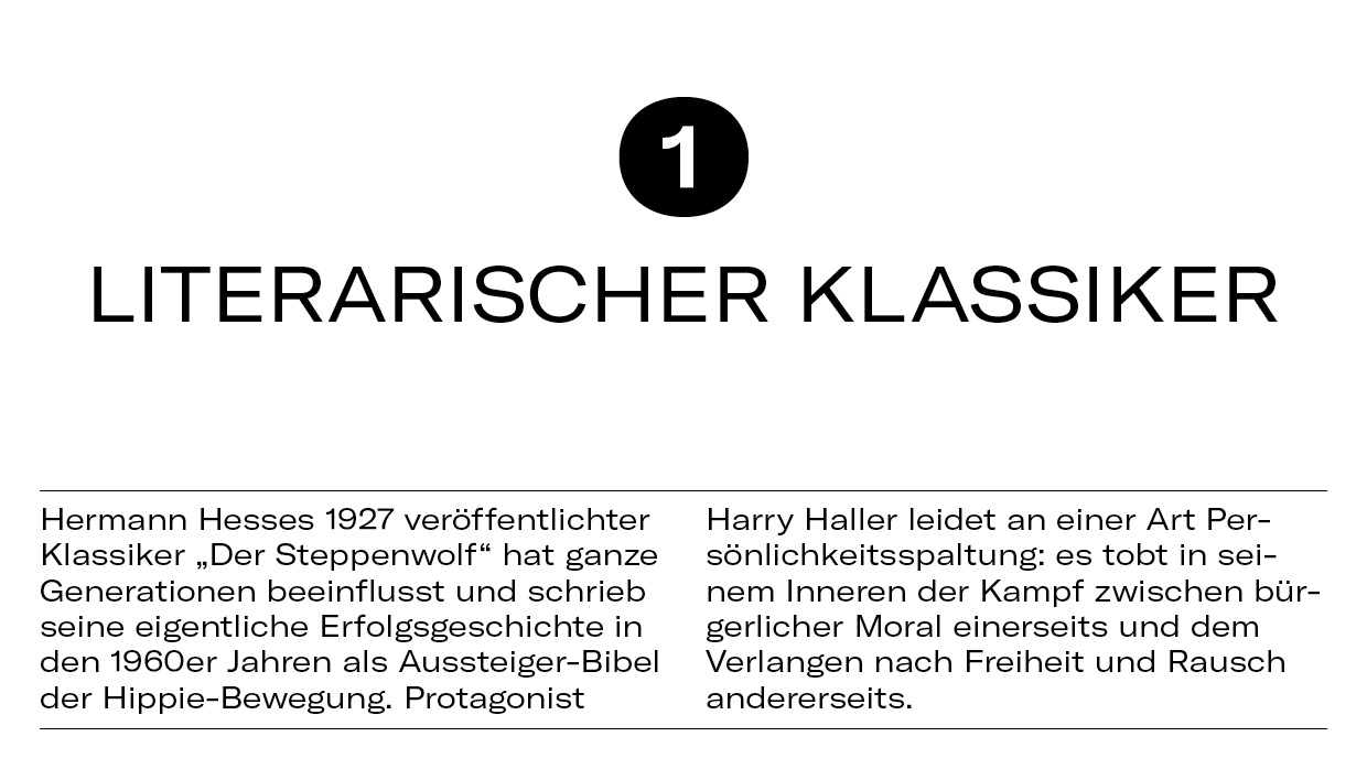 10 Dinge Steppenwolf4