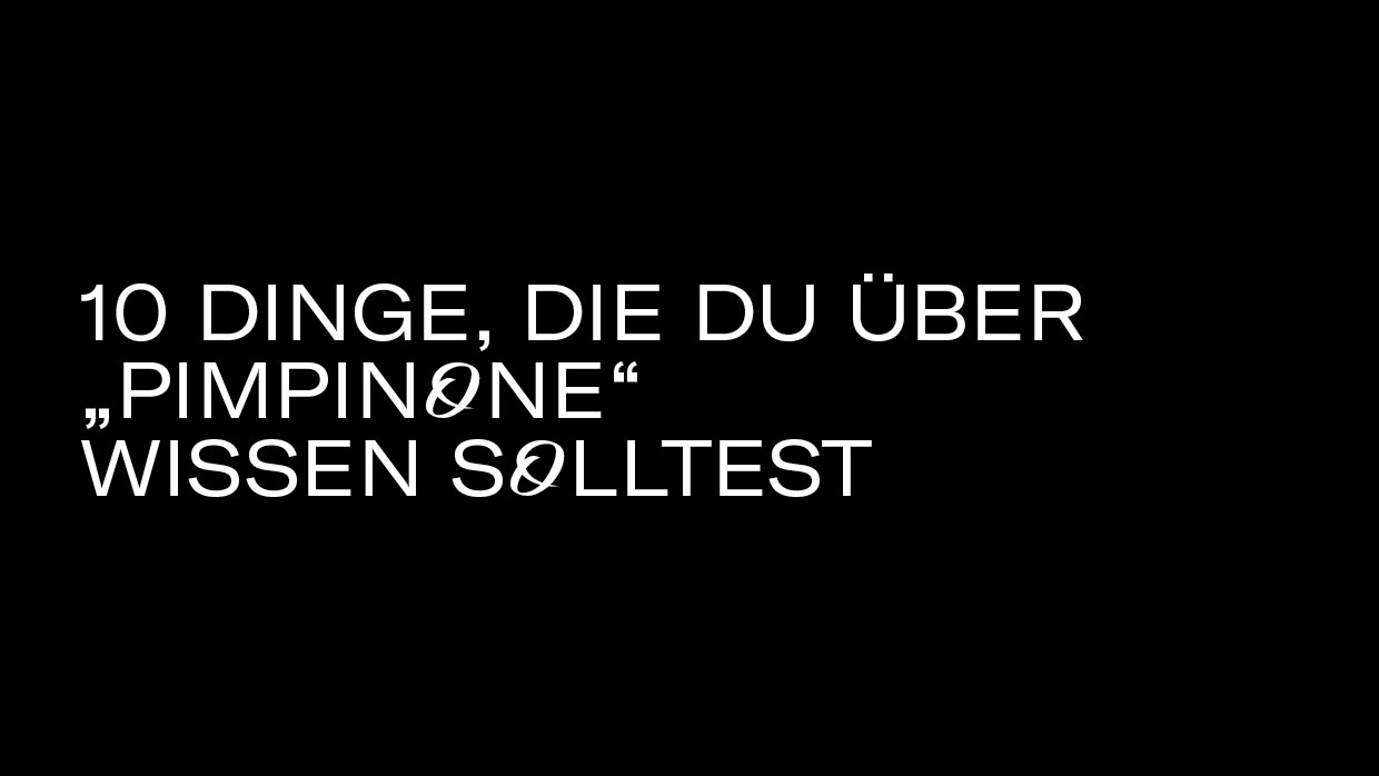 10 Dinge Pimpinone3