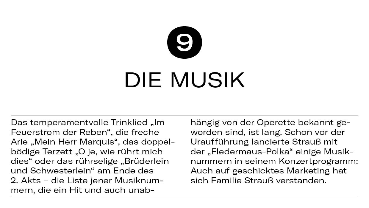 10 Dinge Fledermaus12