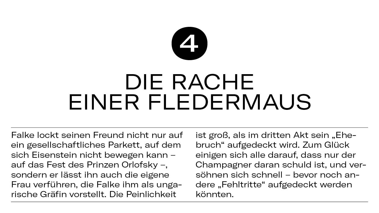 10 Dinge Fledermaus7