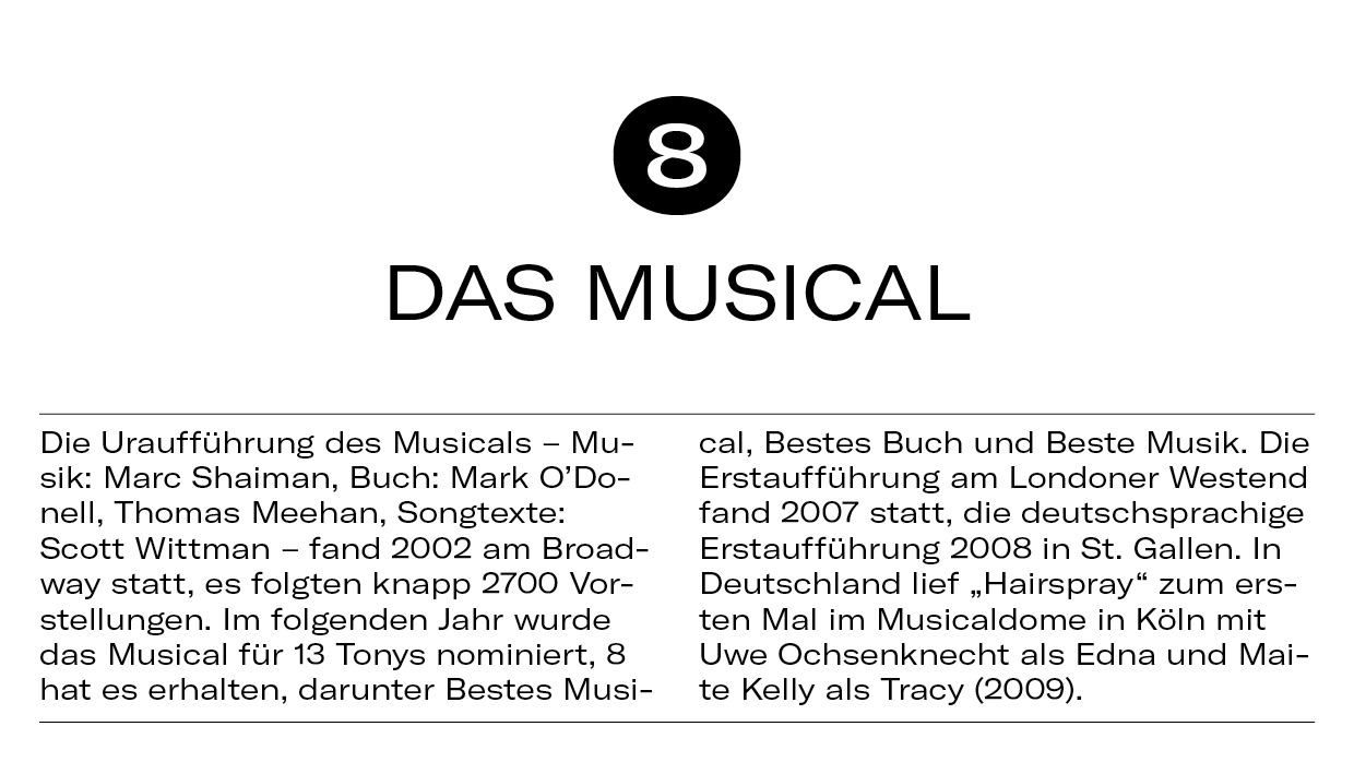 10 Dinge Hairspray11